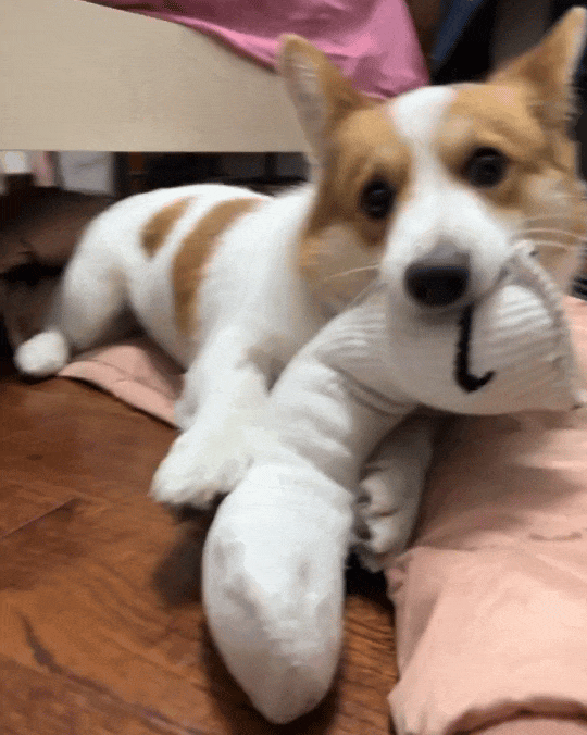 了！几千欧的东西说用就用不朽情缘网站也是好起来(图18)